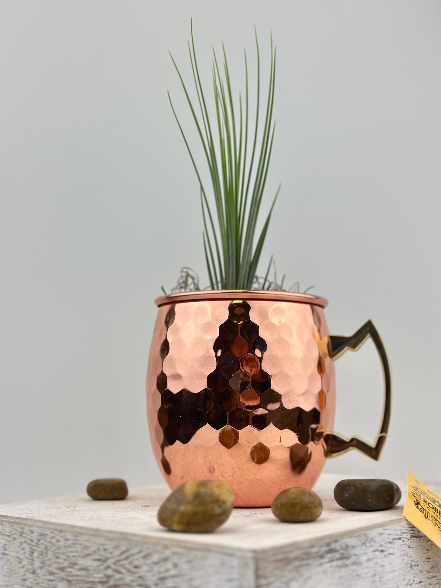 Copper Mug