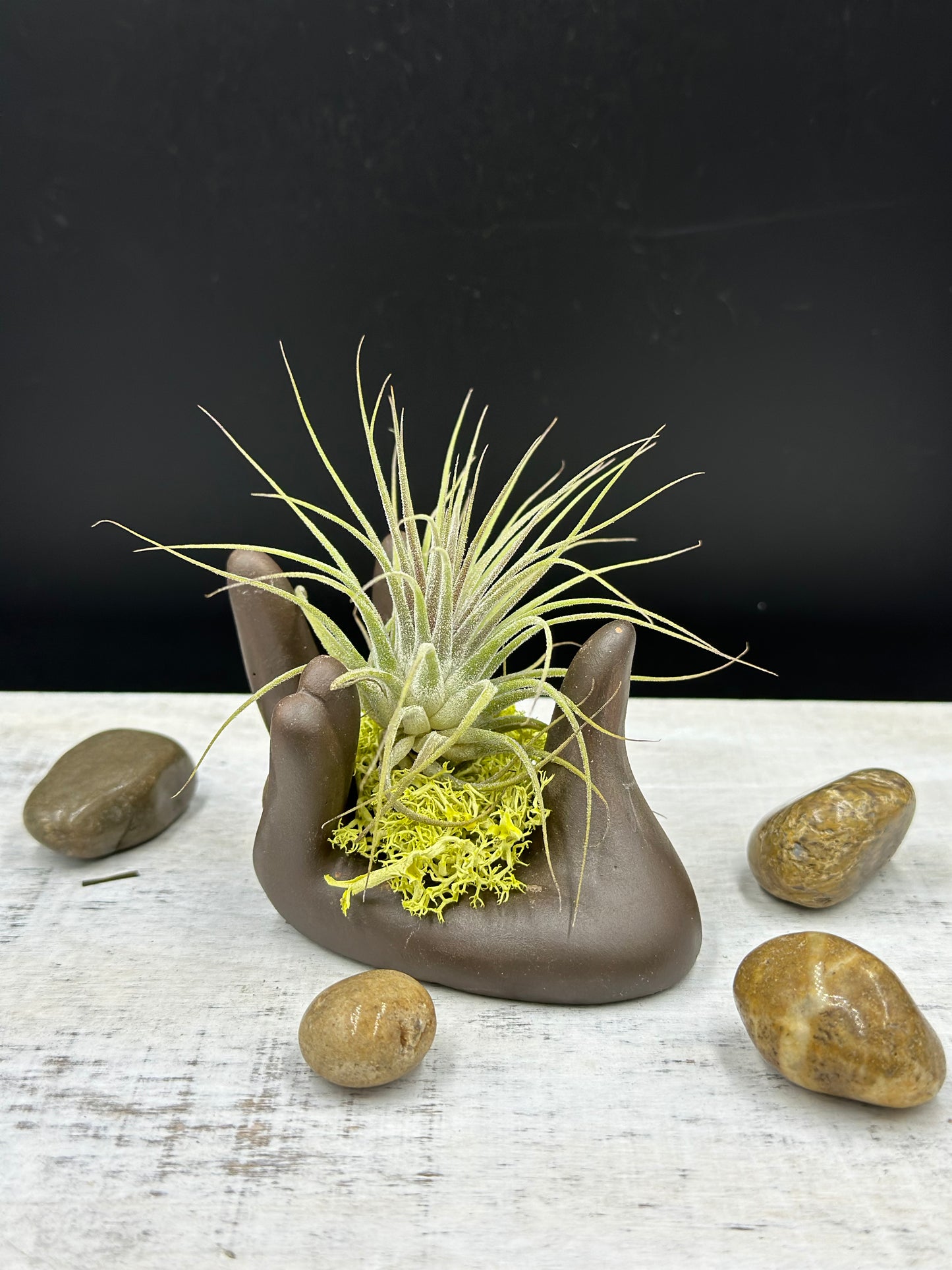 Helping Hands Collection