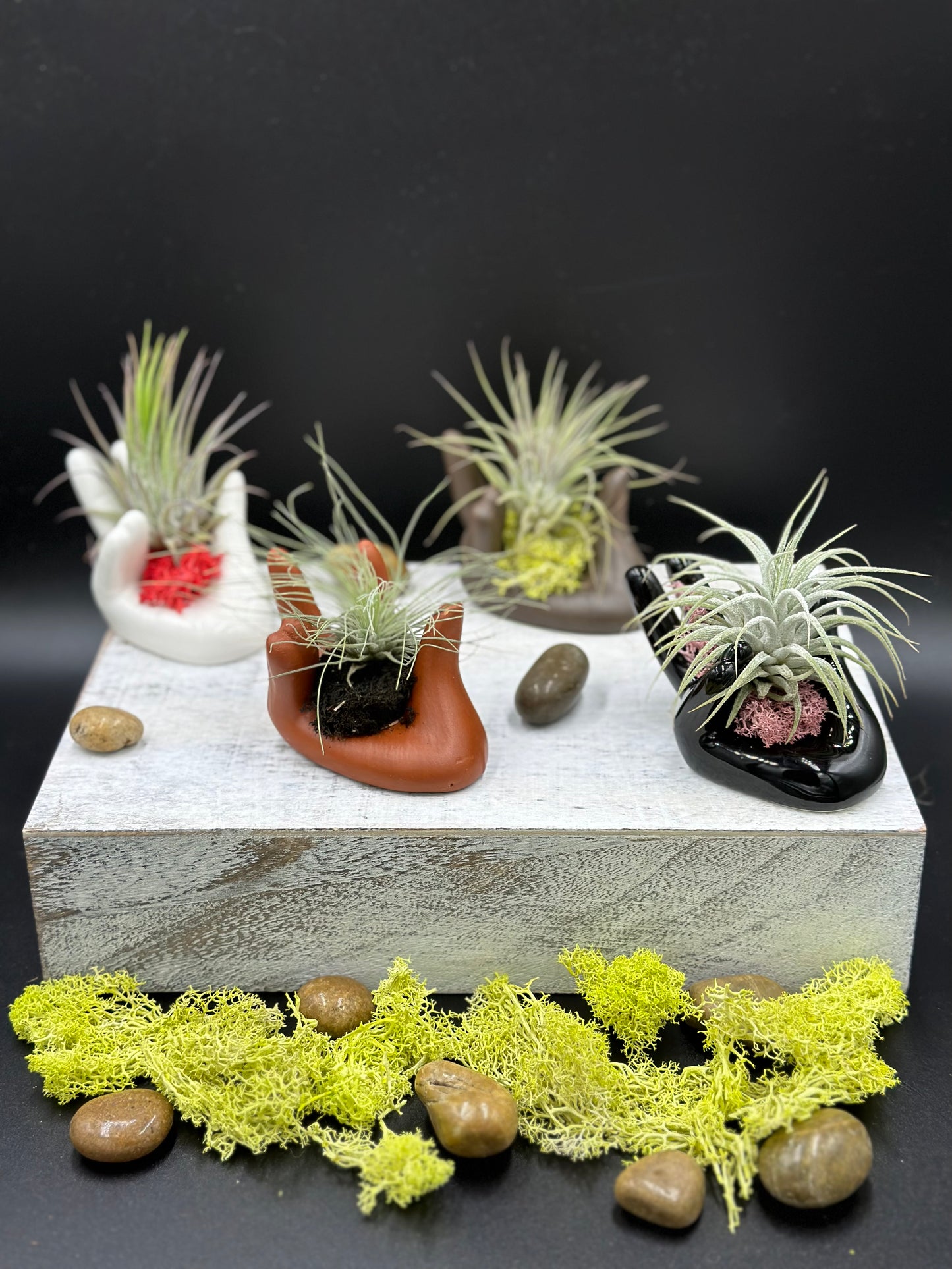 Helping Hands Collection