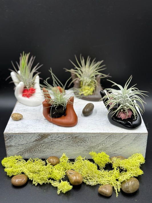 Helping Hands Collection