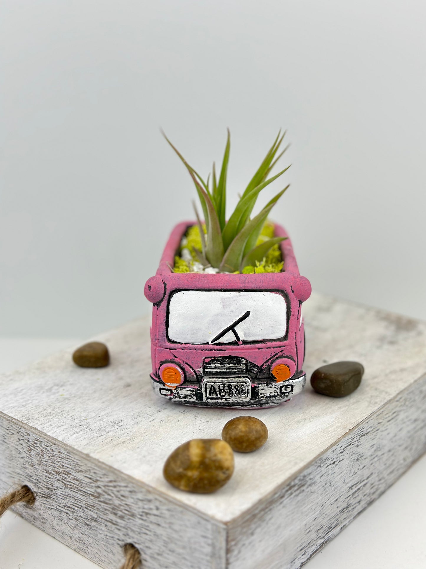 Sunday Drive Collection