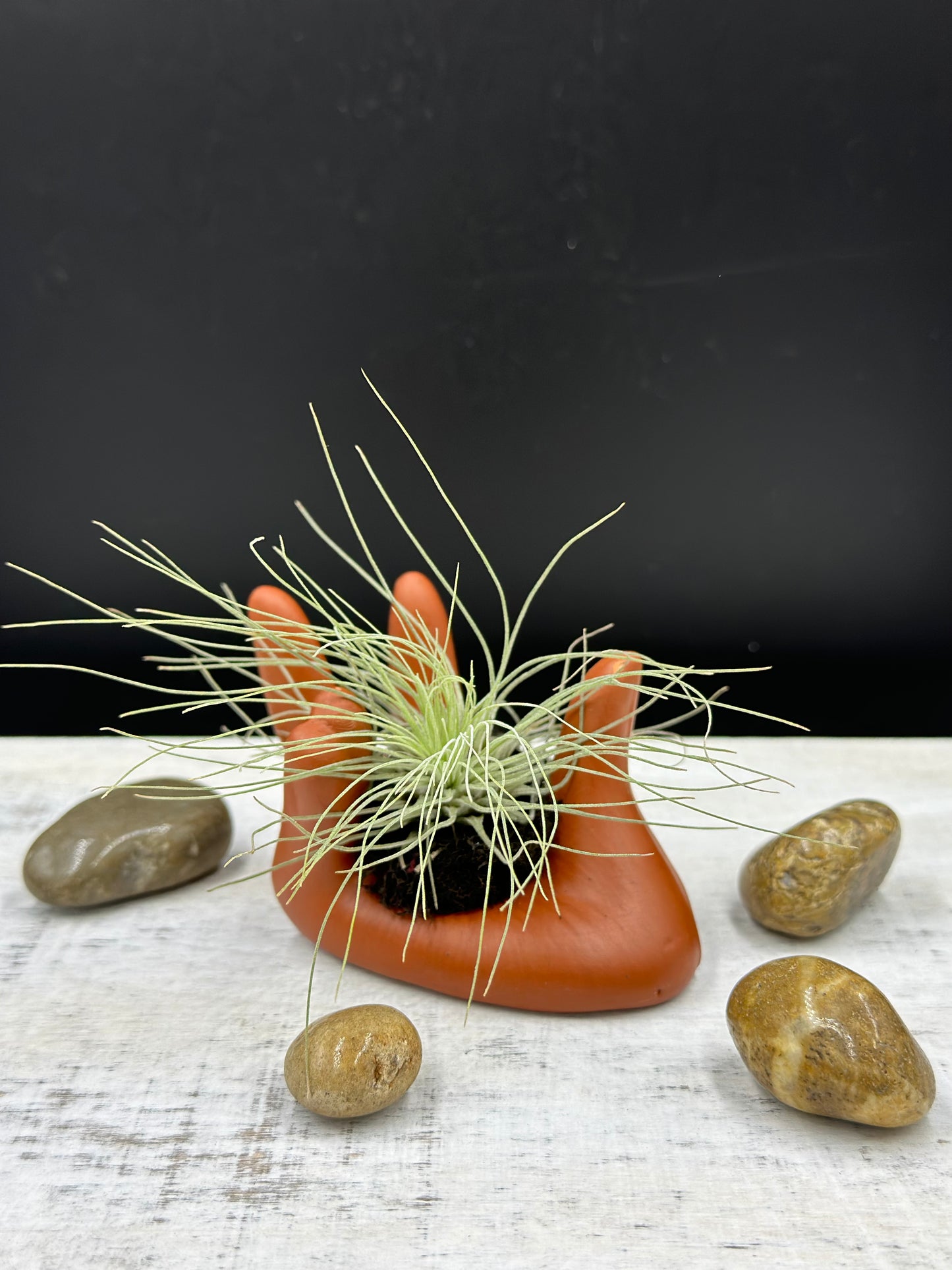 Helping Hands Collection