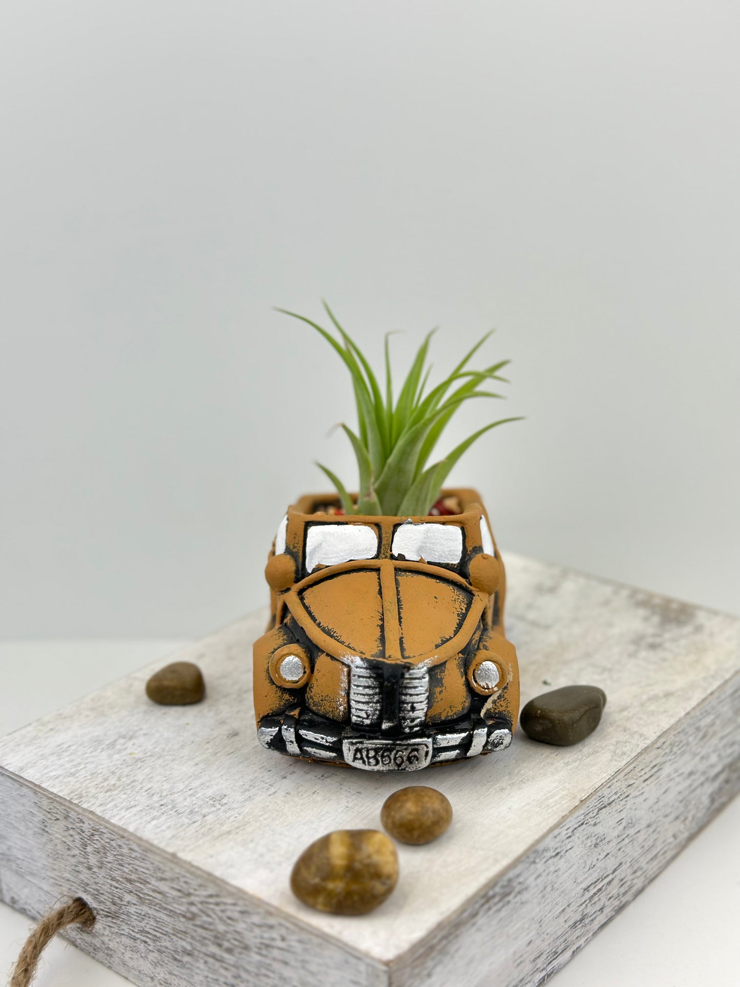 Sunday Drive Collection