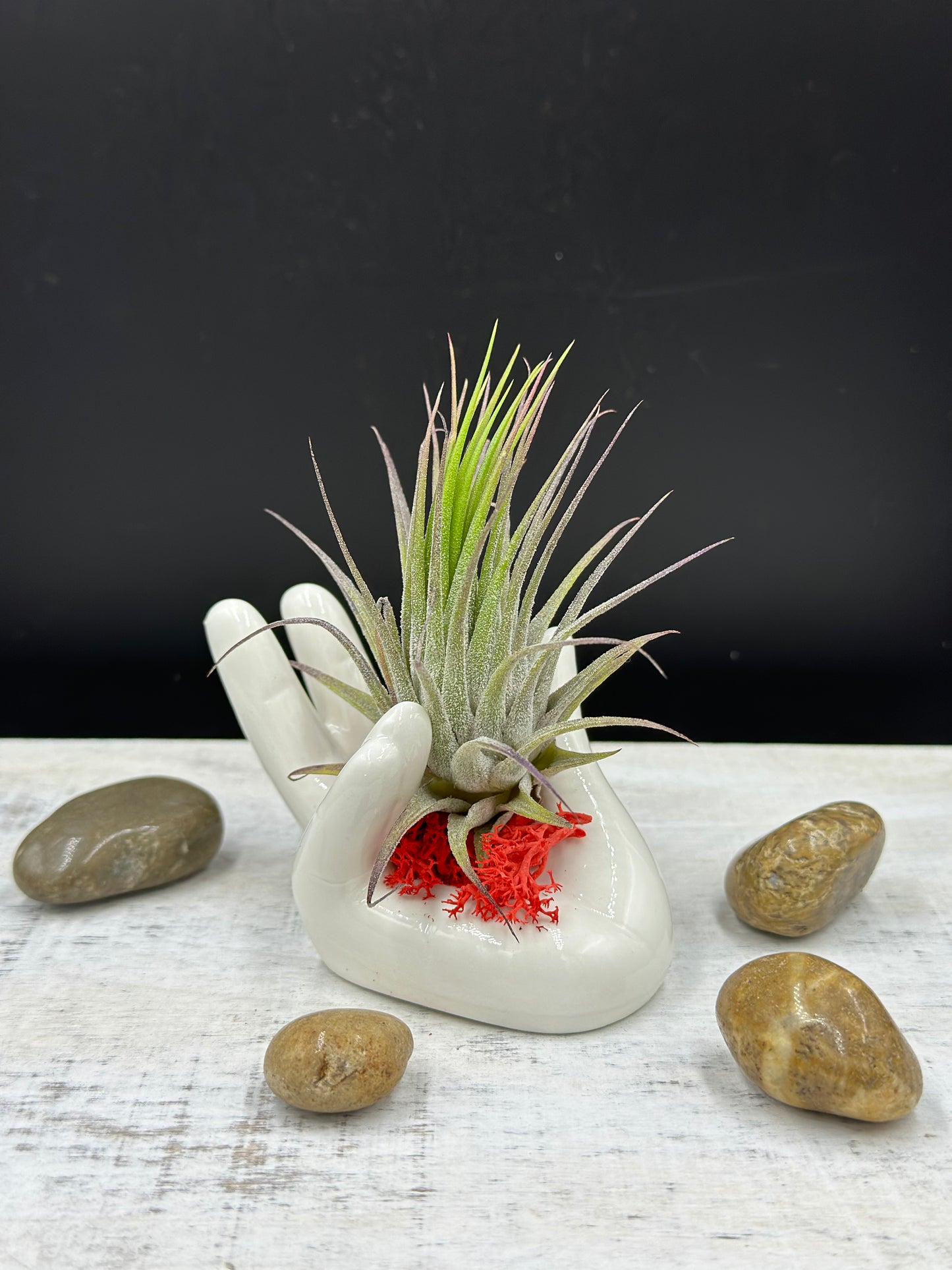 Helping Hands Collection